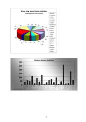 Viešosios institucijos veiklos projektas 9 puslapis