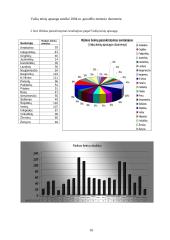 Viešosios institucijos veiklos projektas 10 puslapis