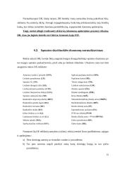 Vytauto Didžiojo universiteto (VDU) leidyklos leidinio sąmatos skaičiuoklės analizė 15 puslapis