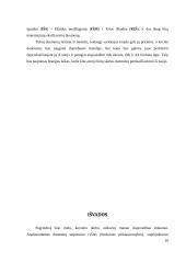 Vytauto Didžiojo universiteto (VDU) leidyklos leidinio sąmatos skaičiuoklės analizė 20 puslapis
