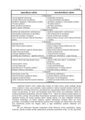 X, Y ir Z teorijos 4 puslapis