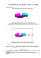 Žemaitijos kolegijos studentų atostogų praleidimo būdai 9 puslapis