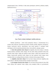 Žemės vertės nustatymas Vilkaviškio rajone 12 puslapis