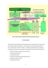 Žemės vertės nustatymas Vilkaviškio rajone 15 puslapis