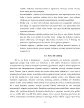 Žinių vadybos ir informacijos vadybos santykis 11 puslapis