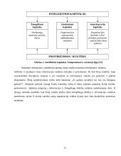 Žinių vadybos ir informacijos vadybos santykis 13 puslapis