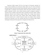 Žinių vadybos ir informacijos vadybos santykis 17 puslapis