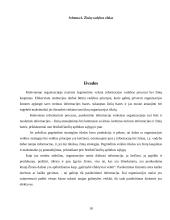 Žinių vadybos ir informacijos vadybos santykis 18 puslapis