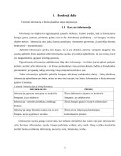 Žinių vadybos ir informacijos vadybos santykis 3 puslapis