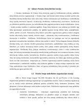 Žinių vadybos ir informacijos vadybos santykis 10 puslapis