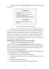 Žmonių išteklių valdymo Lietuvoje patirtis ir problemos, jų priežastys 11 puslapis
