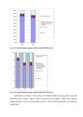 Lietuvos Respublikos (LR) Valstybės biudžeto pajamų analizė 2004-2005 ir 2008-2010 metais 11 puslapis