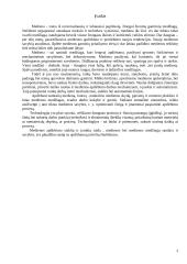 Apdirbamos medienos paviršių šiurkštumą įtakojantys faktoriai 3 puslapis