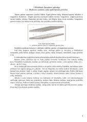 Apdirbamos medienos paviršių šiurkštumą įtakojantys faktoriai 4 puslapis