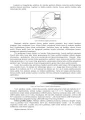 Apdirbamos medienos paviršių šiurkštumą įtakojantys faktoriai 7 puslapis