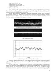 Apdirbamos medienos paviršių šiurkštumą įtakojantys faktoriai 8 puslapis