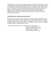 Botanikos kontrolinis darbas 8 puslapis