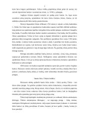 Čekiai bankininkystėje 2 puslapis