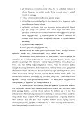 Čekiai bankininkystėje 13 puslapis