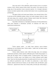 Čekiai bankininkystėje 3 puslapis