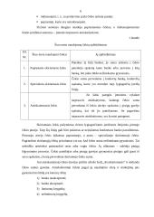 Čekiai bankininkystėje 6 puslapis