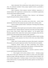 Čekiai bankininkystėje 7 puslapis