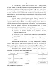 Čekiai bankininkystėje 8 puslapis