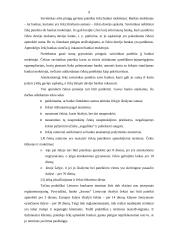 Čekiai bankininkystėje 9 puslapis