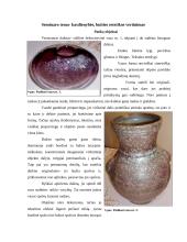 Estetika filme „Geišos išpažintis“ 4 puslapis