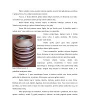 Estetika filme „Geišos išpažintis“ 5 puslapis