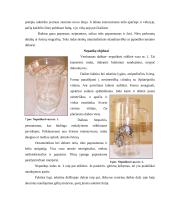 Estetika filme „Geišos išpažintis“ 6 puslapis