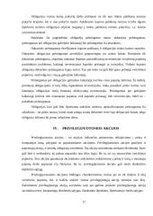 Finansinės investicijos bei jų įvertinimo būdai 12 puslapis