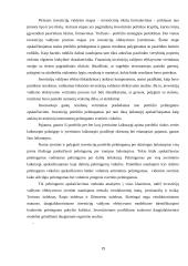 Finansinės investicijos bei jų įvertinimo būdai 19 puslapis