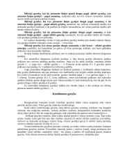 Gynyba krepšinyje 13 puslapis