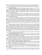 Gynyba krepšinyje 3 puslapis