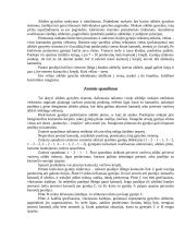 Gynyba krepšinyje 10 puslapis