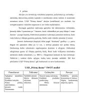 Įmonės aprašymas: kepykla UAB "Prienų duona" 13 puslapis