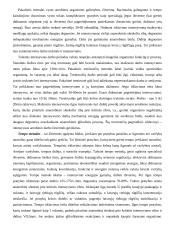 Ištvermės samprata, lavinimo ir kontrolės technologijos: baidarių ir kanojų irklavimas 3 puslapis