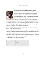 Lietuvos vyrų krepšinio rinktinės analizė 2005–ųjų m. Europos čempionate 12 puslapis