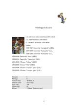 Lietuvos vyrų krepšinio rinktinės analizė 2005–ųjų m. Europos čempionate 13 puslapis