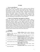 Marketingo analizė: finansinės paslaugos AB "Hansabankas" 3 puslapis