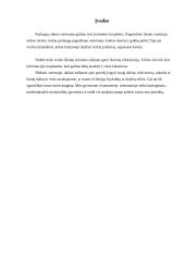 Paslaugų varototojų poreikiai 3 puslapis