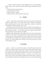 Prieskonių grupės 4 puslapis
