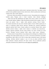 Prieskonių grupės 10 puslapis