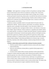 Savikainos esmė 2 puslapis