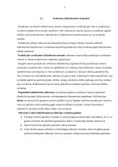 Savikainos esmė 3 puslapis