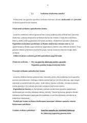 Savikainos esmė 4 puslapis