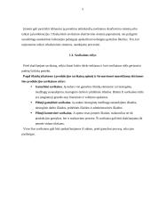 Savikainos esmė 5 puslapis