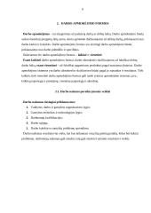 Savikainos esmė 6 puslapis