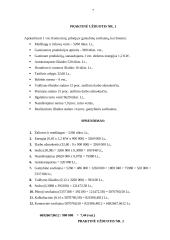 Savikainos esmė 7 puslapis